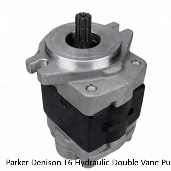 Parker Denison T6 Hydraulic Double Vane Pump For Plastic Machinery