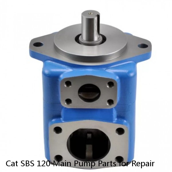 Cat SBS 120 Main Pump Parts for Repair