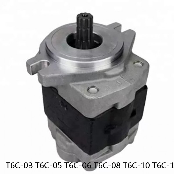 T6C-03 T6C-05 T6C-06 T6C-08 T6C-10 T6C-12 T6C-14 T6C Hydraulic Vane Pump #1 small image