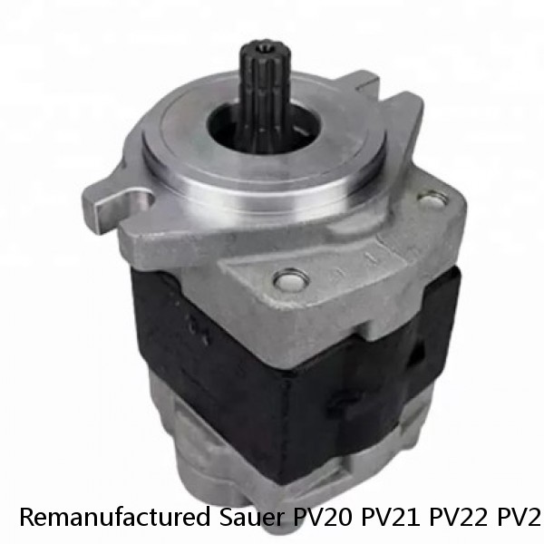 Remanufactured Sauer PV20 PV21 PV22 PV23 PV24 Hydraulic Piston Pump