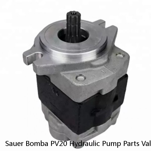 Sauer Bomba PV20 Hydraulic Pump Parts Valve Plate,Cylinder Block,Piston,Retainer Plate #1 small image