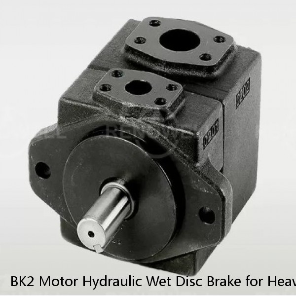 BK2 Motor Hydraulic Wet Disc Brake for Heavy Duty Machinery #1 small image