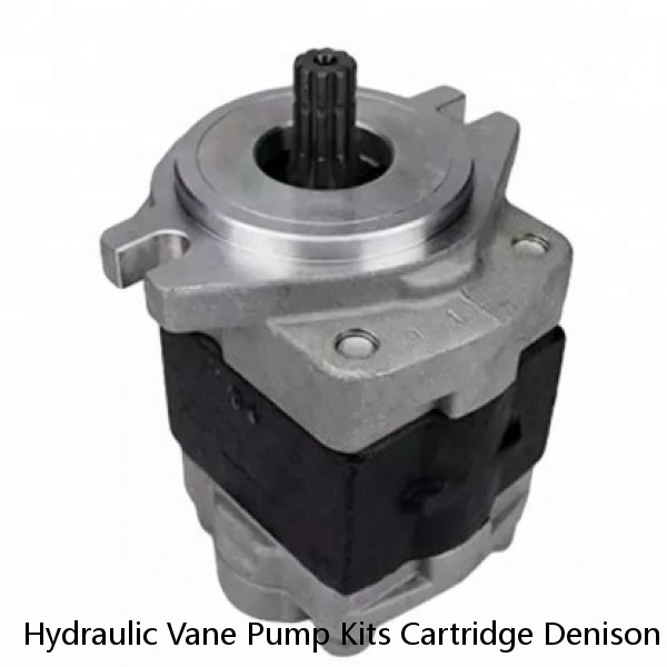 Hydraulic Vane Pump Kits Cartridge Denison Core T6C #1 image